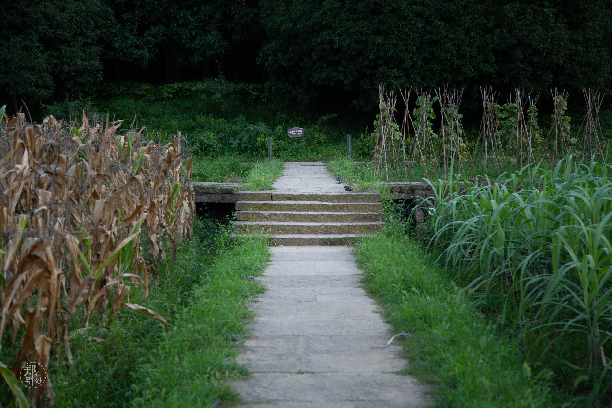 坐公交游杭州几路最好,杭州87路公交沿路风景