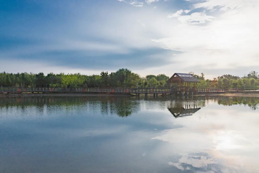 顺义公园健康步道效果图,顺义公园健康步道翻新