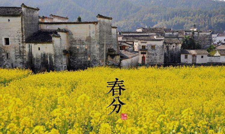 春分节气的传统习俗及意义,春分的习俗和来历简短