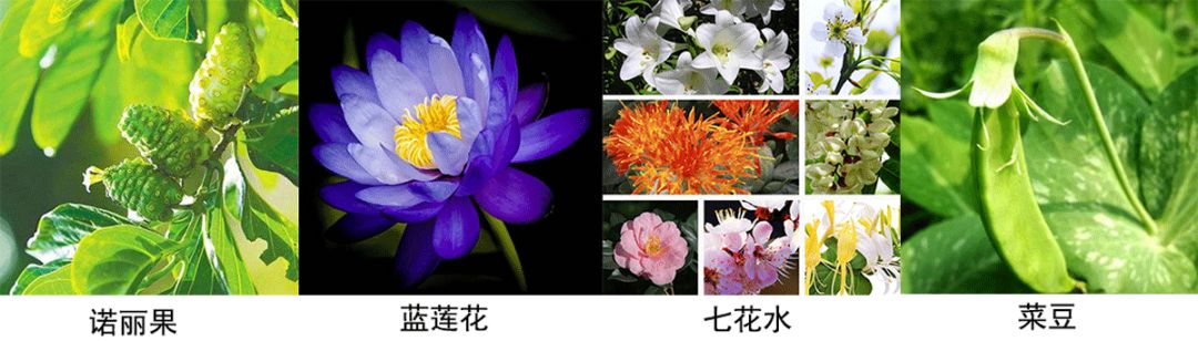 韩国大牌眼霜,吴昕爱马仕眼霜怎么样