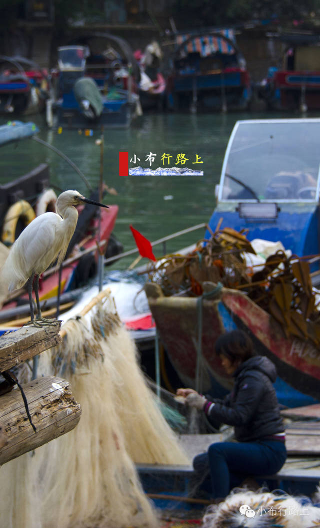厦门沙坡尾是老城区吗,厦门沙坡尾属于哪个区