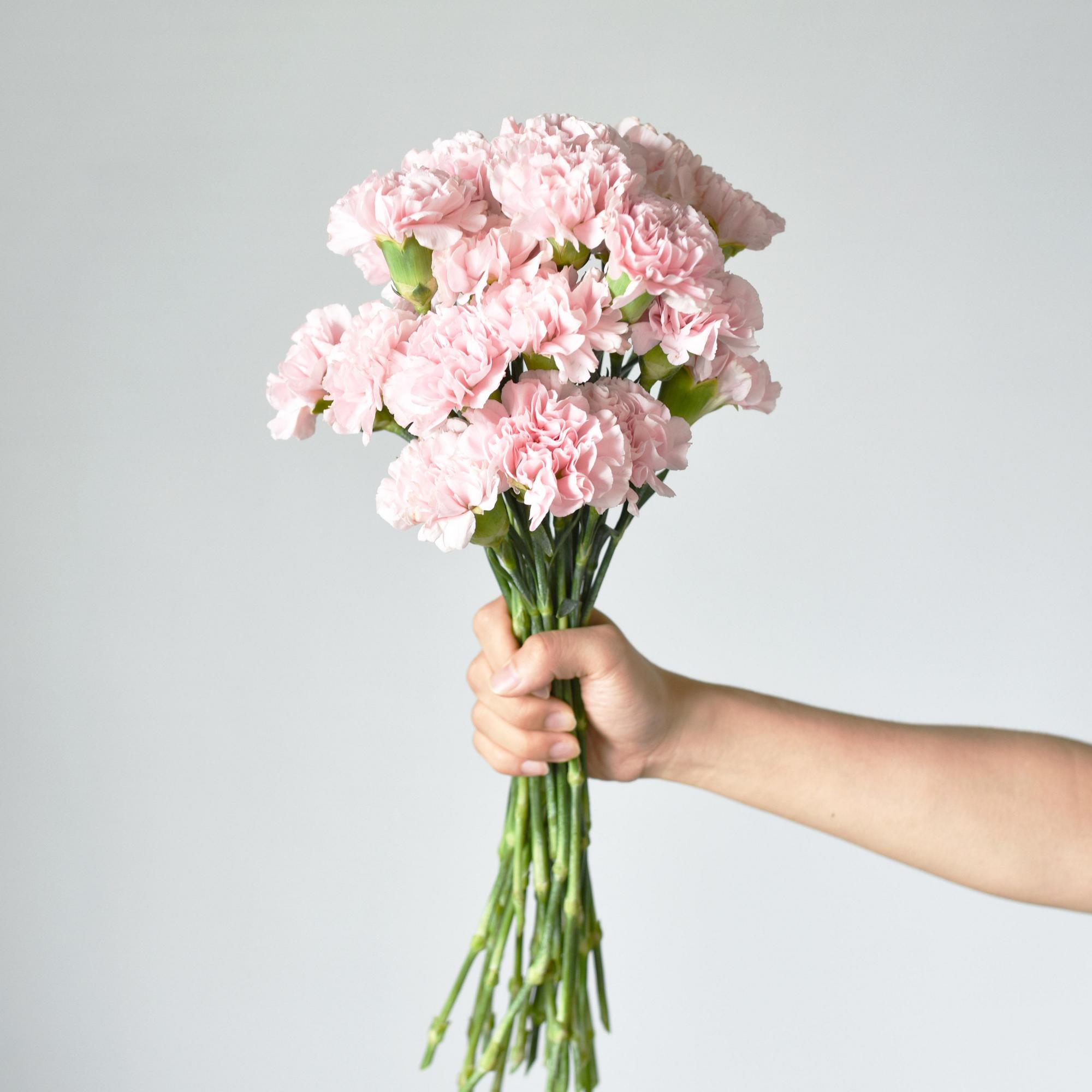 康乃馨是深水养还是浅水养好,盆养百合花怎么养