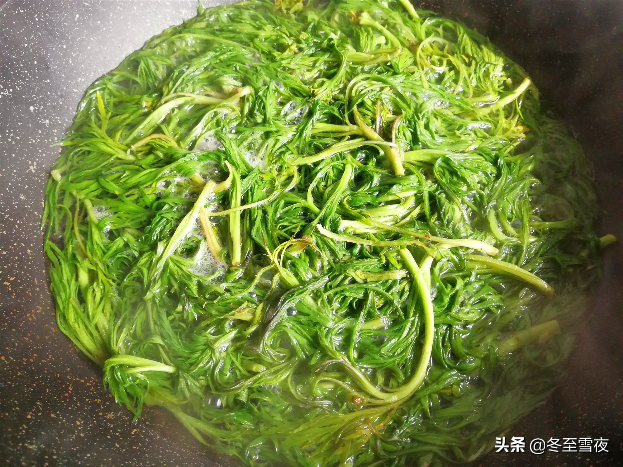 山上的野菜柳蒿芽,东北人说的野菜柳蒿芽长什么样