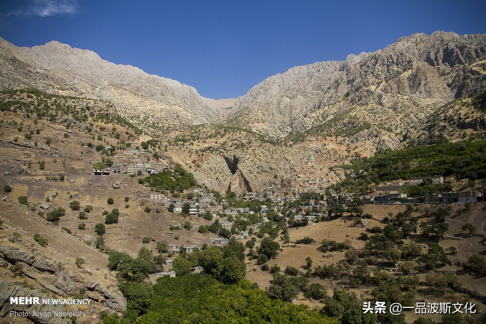 伊朗波斯石榴在哪里,伊朗石榴与波斯石榴