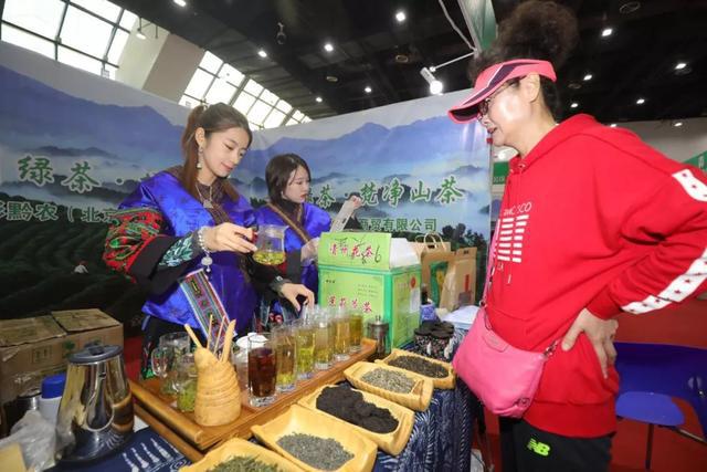 开幕了！“一日一城”等你来