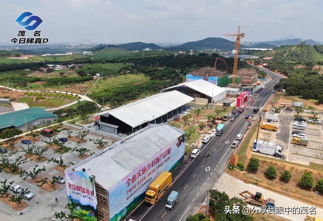 茂名荔枝大会,茂名市520荔枝产业大会