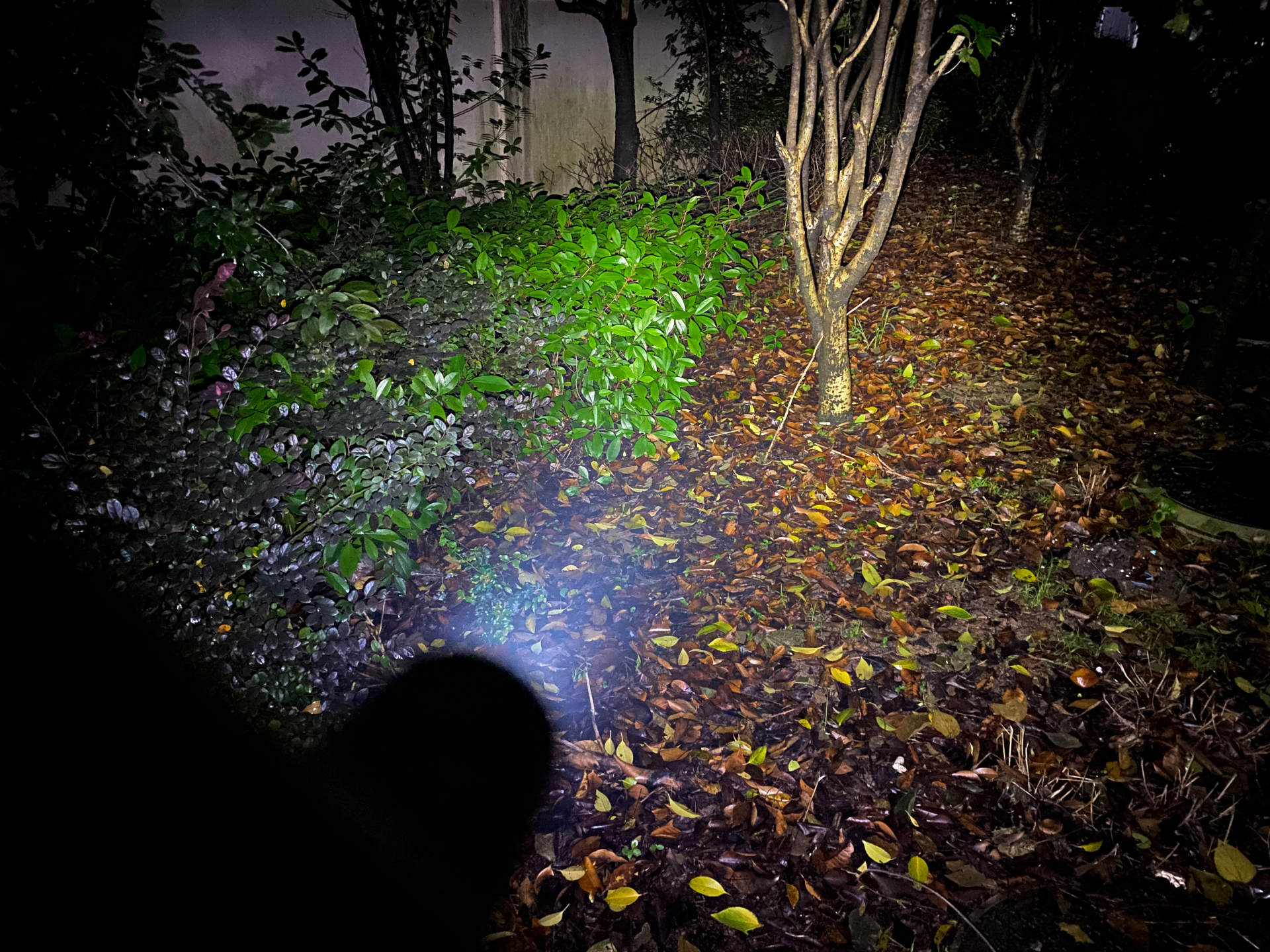 小身材大用途,小身形大用途