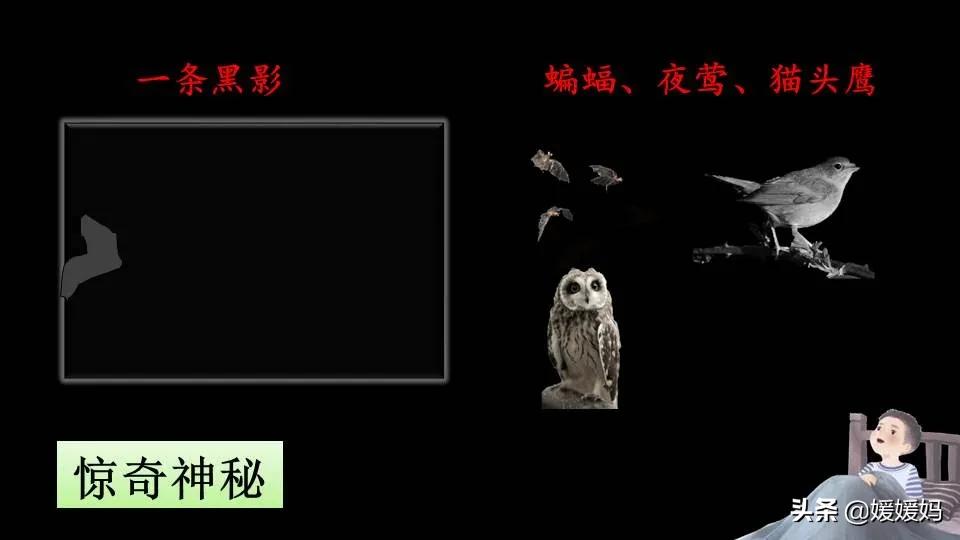 四年级下册语文书天窗课后题答案,四年级下册语文第三课天窗课后题