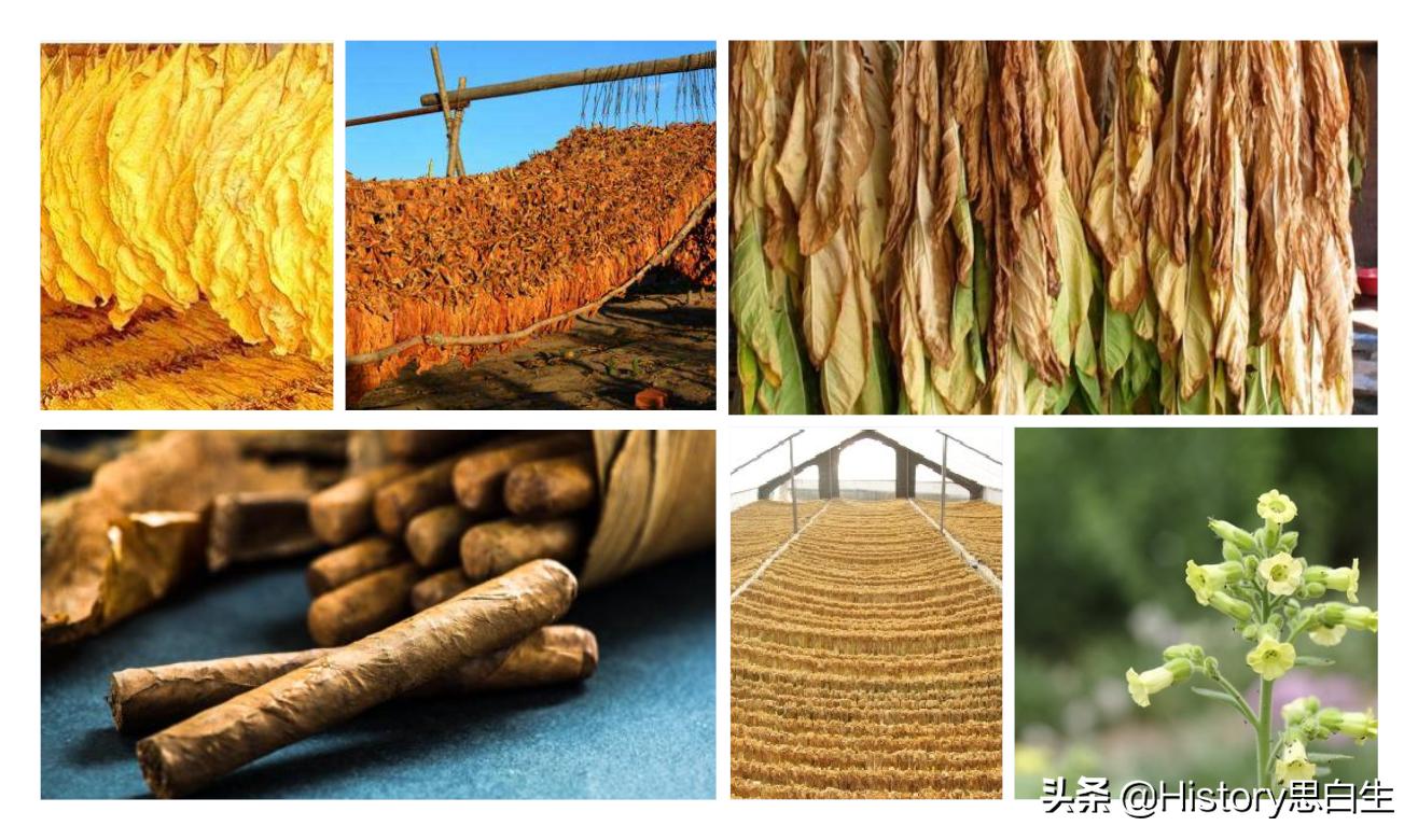 吸烟史翻译,吸烟史超过20年