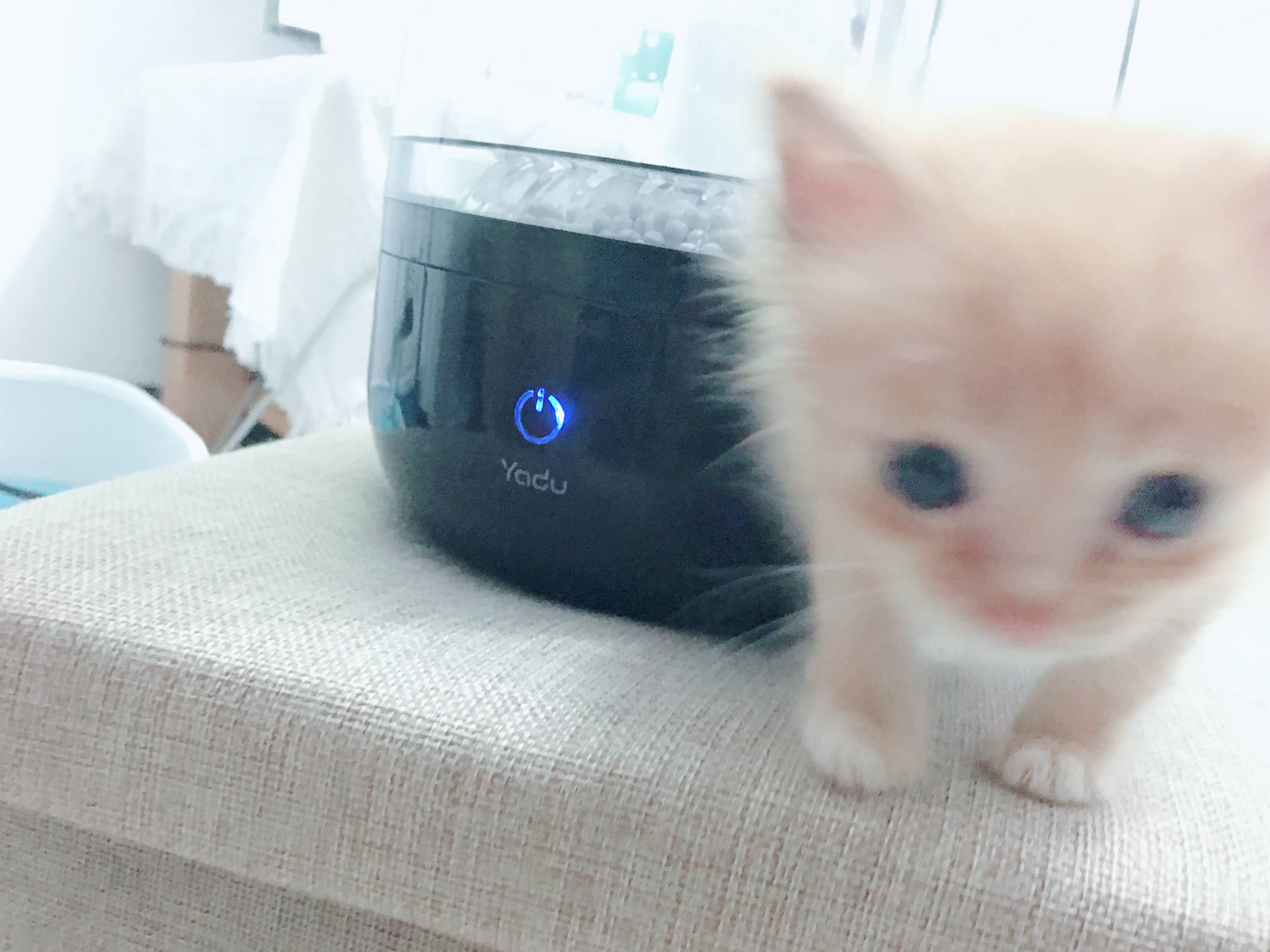 亚都纯净无雾加湿器,亚都超声波加湿器使用方法与步骤