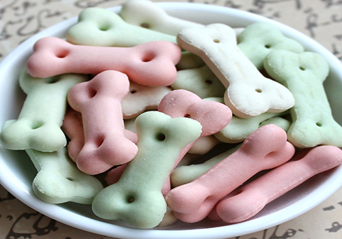 养宠经验:如果狗狗不吃饭怎么办?改善喂食方式,调整饮食结构