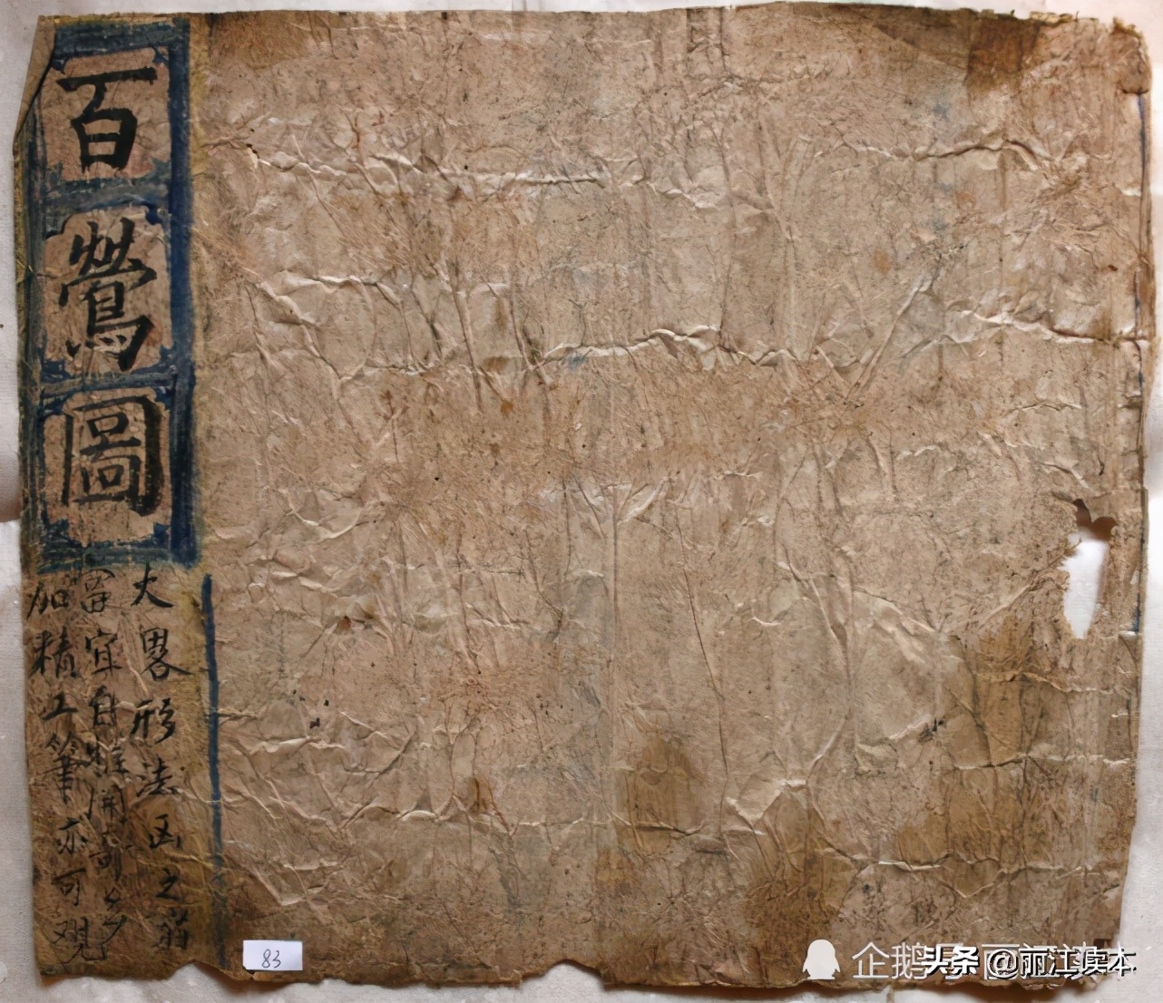 用鹰捕猎,用老鹰捕猎