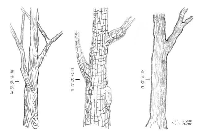 6-12岁儿童风景速写课程入门网课,风景速写临摹图片高清树和房子