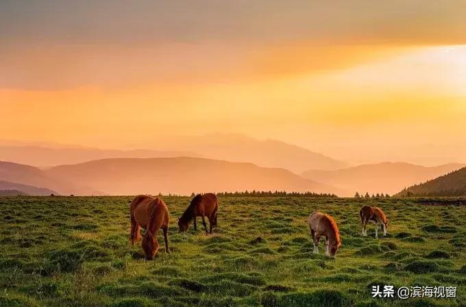 天津周边的旅游景点推荐一日游,天津周边旅游一日游攻略大全