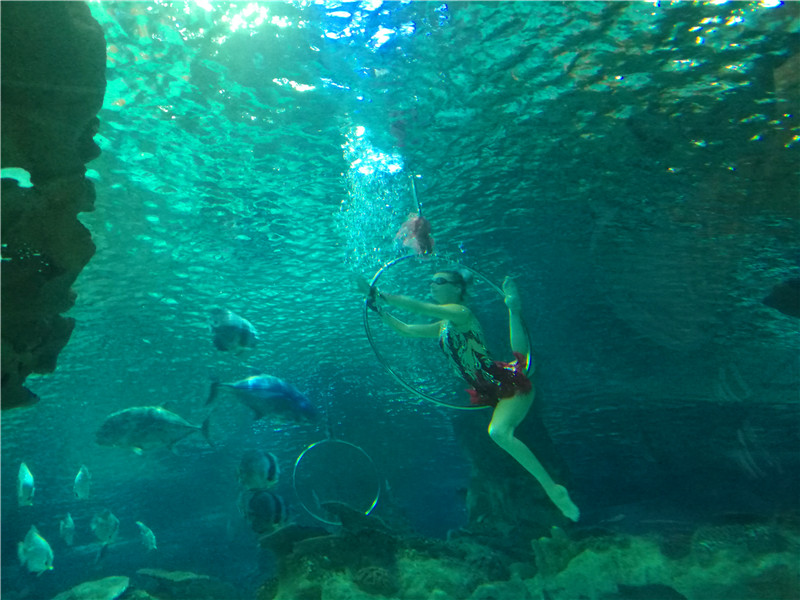 富国海底世界京津冀,游富国海底世界