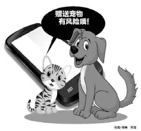 石家庄一女子兼职“抖音点赞员”,被诱导不断交钱升级