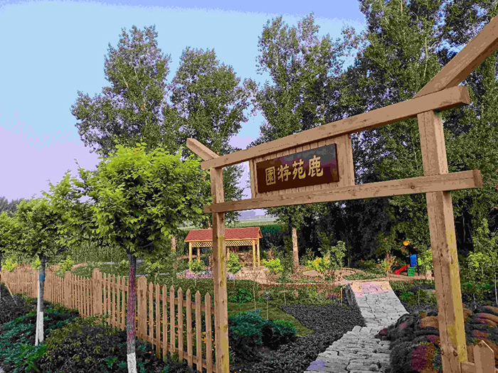 因鹿而生,以鹿而兴,长春市盘古屯打造美丽乡村样板