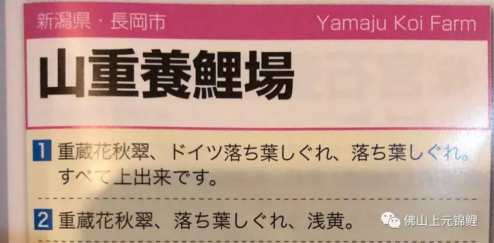 全场八折优惠活动正在火爆进行中,锦鲤网上商城