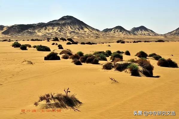 1947年之前巴勒斯坦有没有犹太人,1900年巴勒斯坦地区犹太人