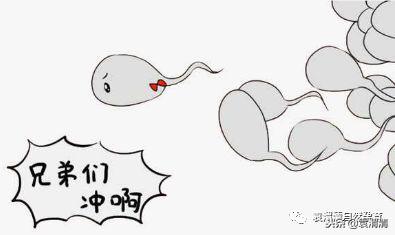 精子死亡怎么治疗调理,精子全部死亡怎么治疗