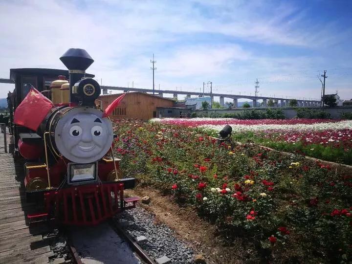 缙云景点排行榜前十,缙云旅游景点天气