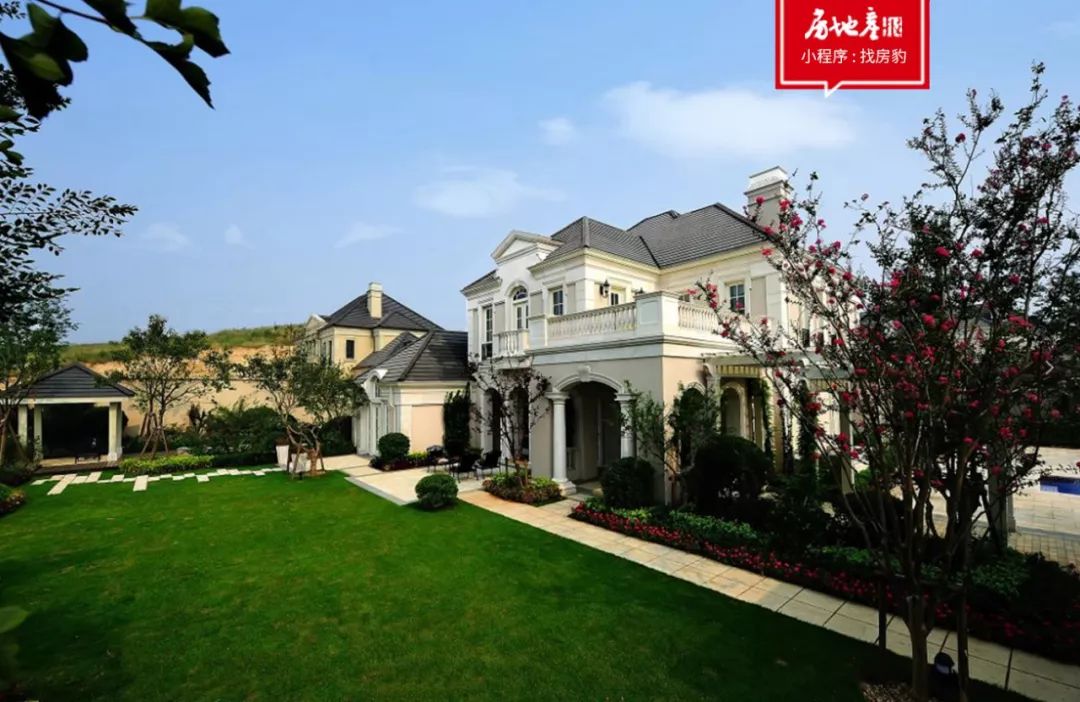 桃李宋卫平,宋卫平的桃李春风