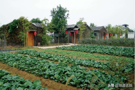 农村庭院经济发展思路,乡村小投资创业项目有哪些