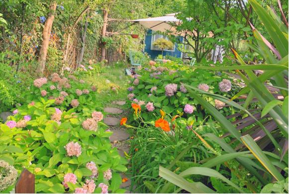 第一次走进幼儿园,幼儿园星空的探秘之旅