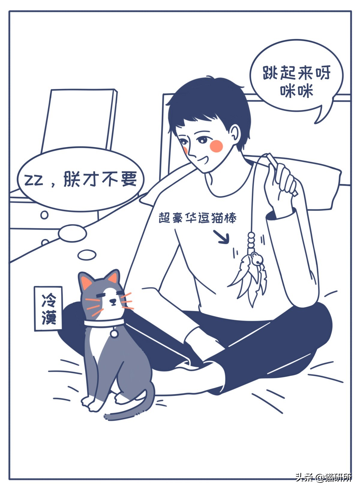 对猫的误解狂犬病,关于猫的冷知识有哪些