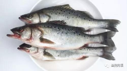 最适合孩子吃的7种鱼，你给孩子吃过几种呢？