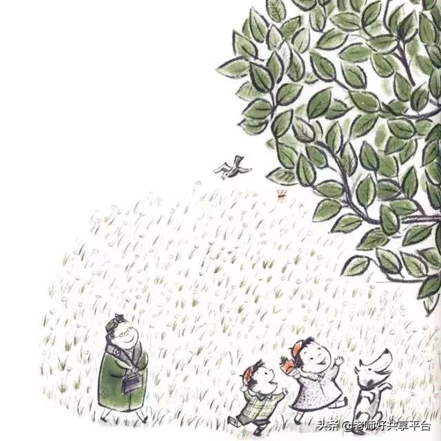 老师好睡前故事|《哈利的花毛衣》