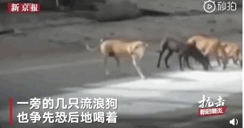 印度封国20天哭了，美国总统说了一句话......