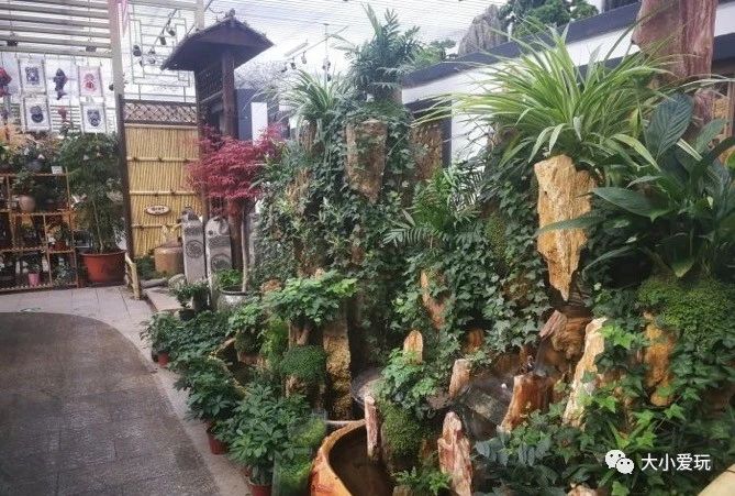 可以逛的花卉市场,值得去看的花卉市场