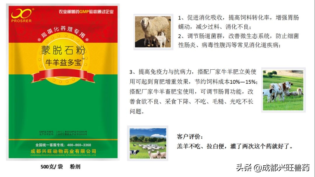 牛羊育肥怎么选牛羊,牛羊育肥最佳方法