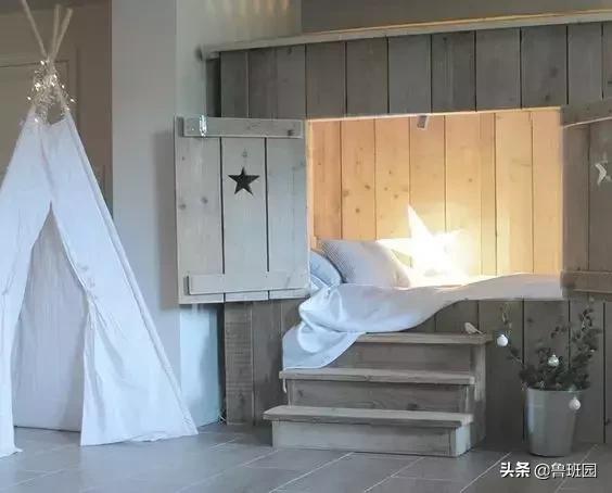 松木简介,松木原木介绍