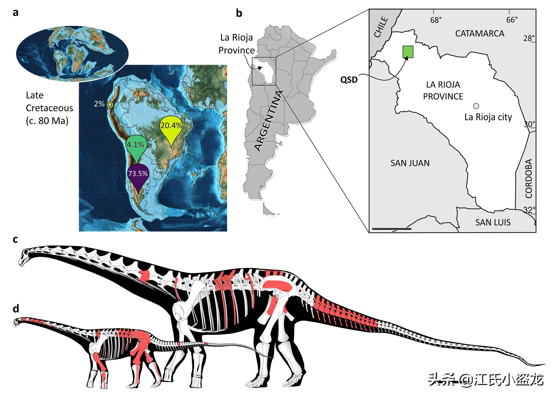 古生物时代有多少种恐龙,人类已经发现了多少恐龙种类