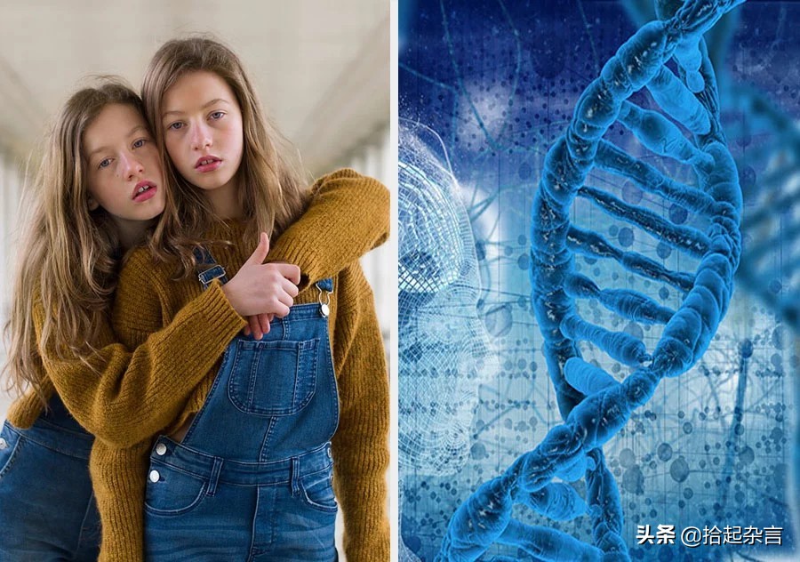 神秘的基因的秘密,神秘的遗传基因