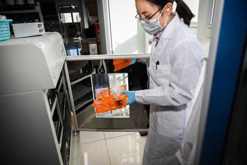 实验室|去除腐烂部分的果蔬还能吃吗?实在舍不得扔怎么办?