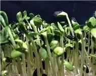 入围企业|安徽牧润农业科技有限公司