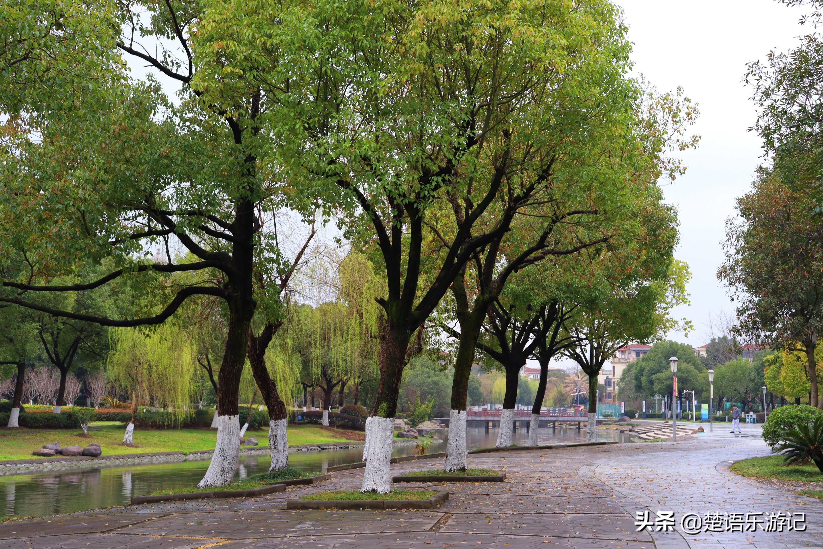 宁波免费的公园有哪些,宁波值得去的公园排行榜