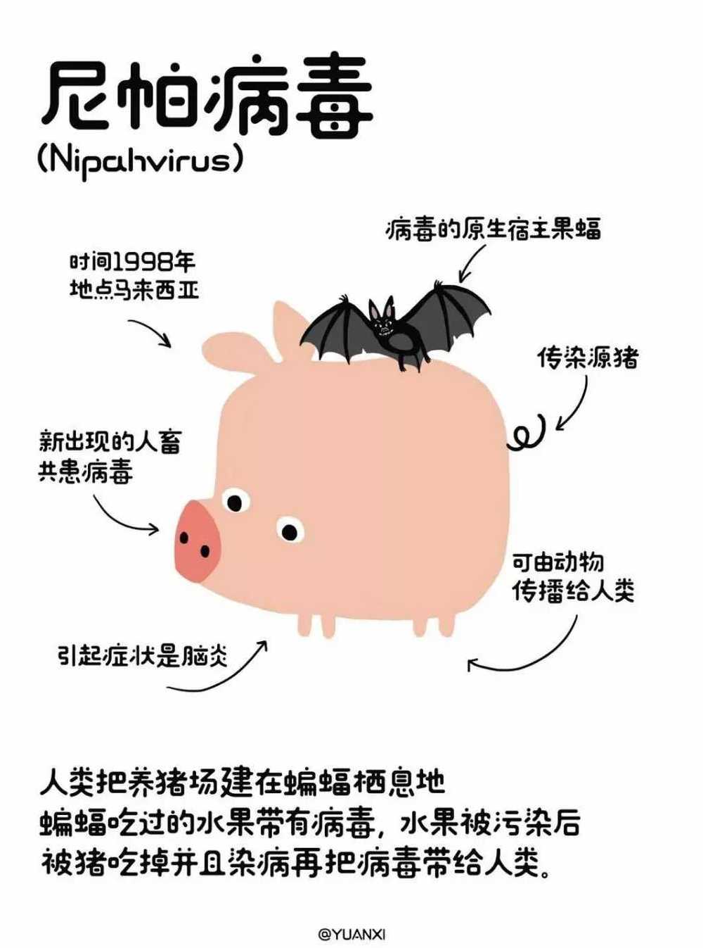 欧洲瘟疫死亡2500万人是哪一年,人类最大的瘟疫