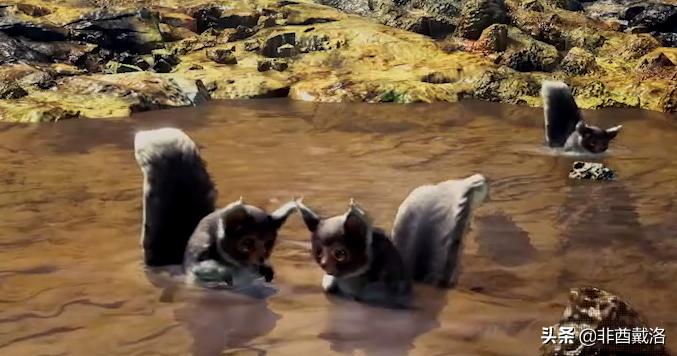 怪物猎人世界dlc雪原,怪物猎人世界冰原dlc深度测评