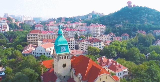 均温20℃的海滨老城，紫色泡桐花美得像国外，现在去性价比超高