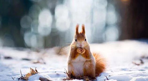 深圳十大暑假室内必去景点,深圳暑假值得带孩子旅游的地方
