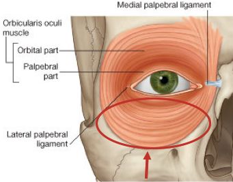 怎么练出angelababy微笑唇,angelababy演技微笑唇