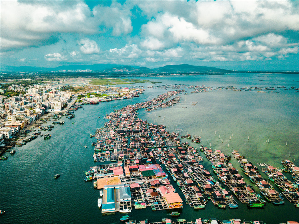 海南必玩猴岛与呆呆丨看萌呆猕猴,呆呆岛发呆
