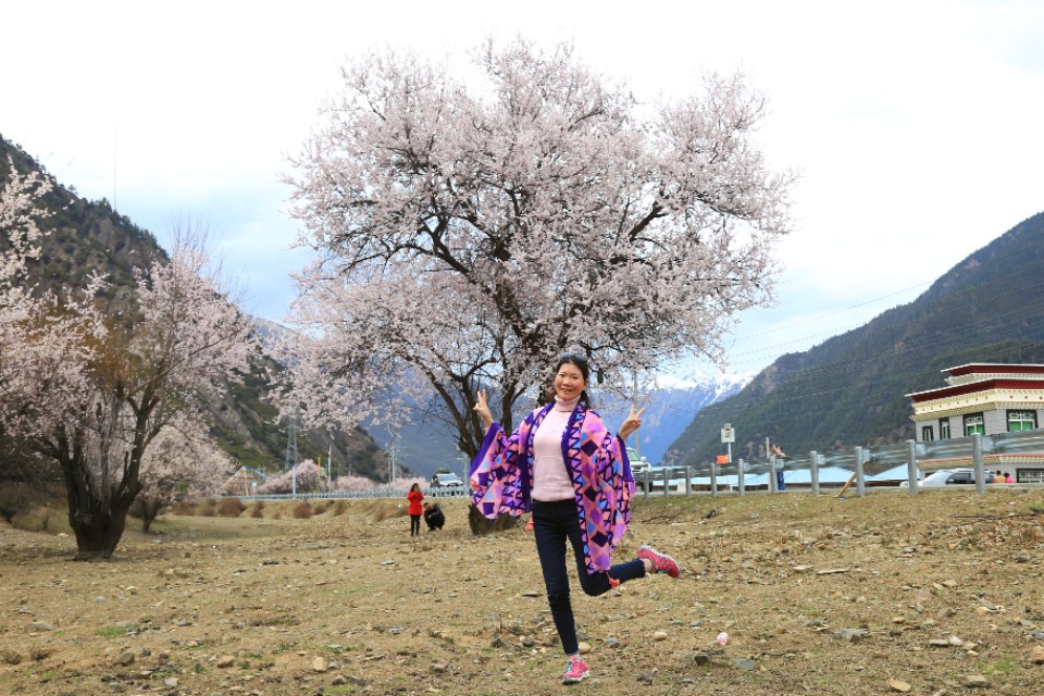 西藏旅游川进青出16天环线攻略,盘点西藏自驾游9条经典线路