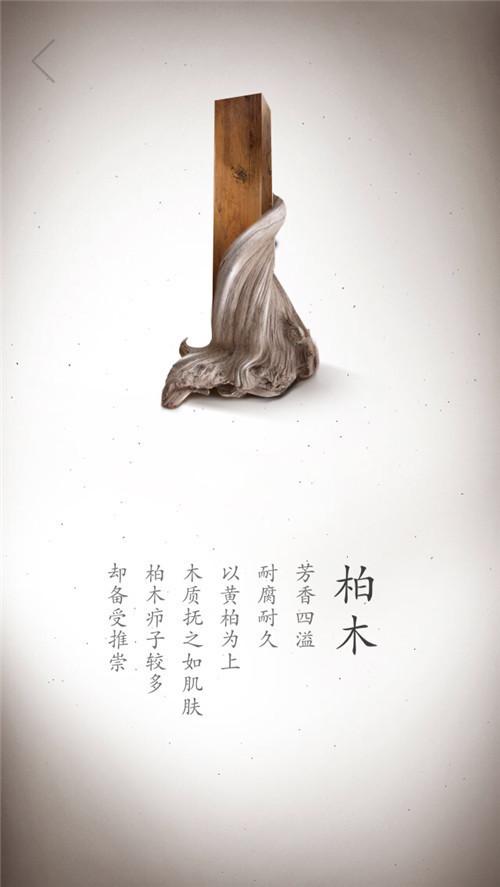 原木之美丨十七张珍贵木材高清写真