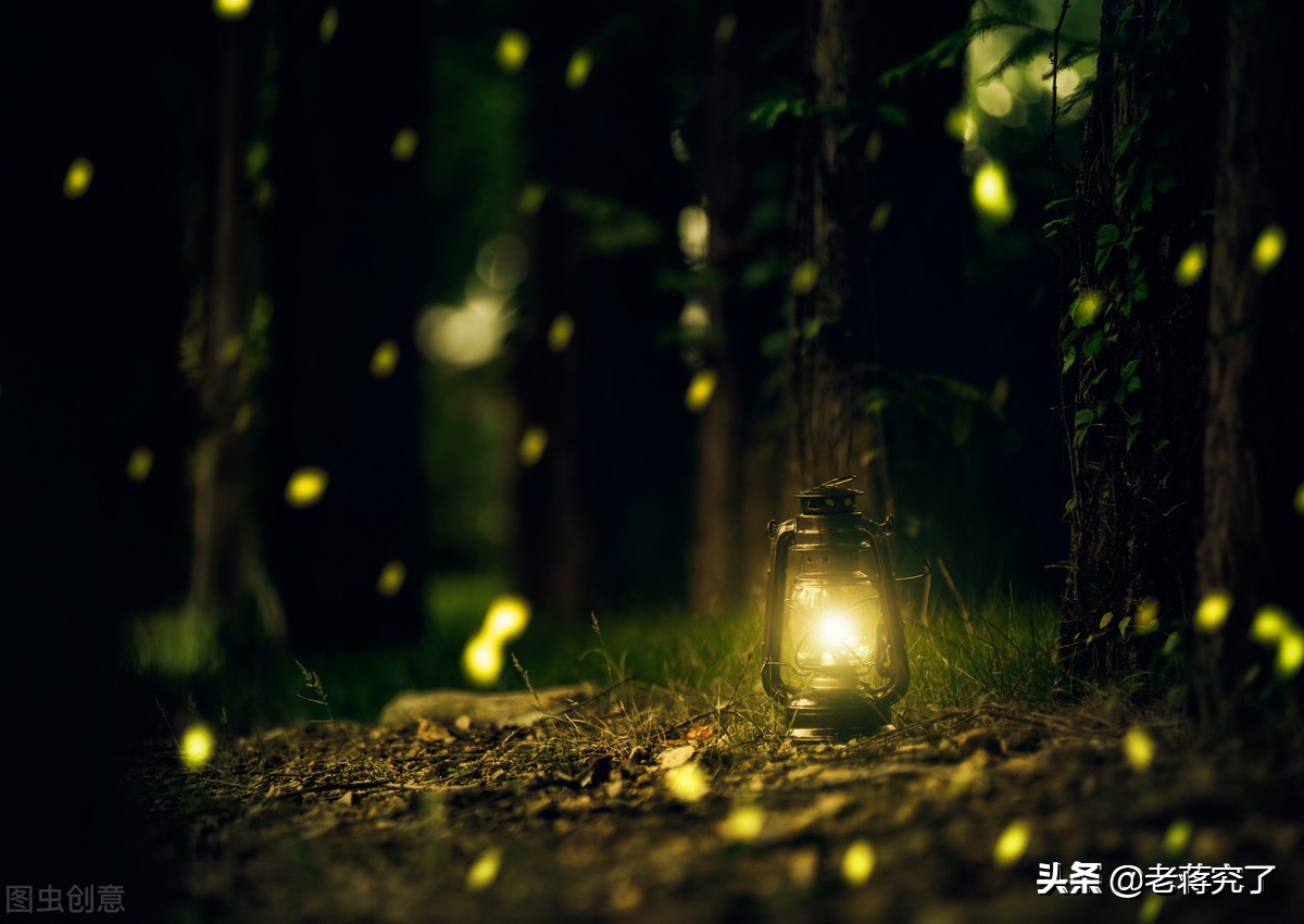 童年记忆里的萤火虫，想知道怎样让她的发光更亮更持久吗？