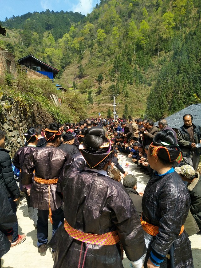 贵州苗乡斗牛视频大全,水打坪乡村斗牛